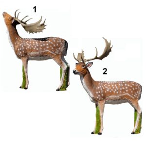 SRT Fallow deer