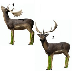 SRT Fallow deer melas